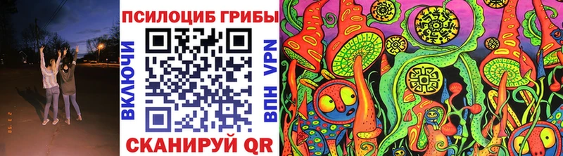 Псилоцибиновые грибы Psilocybe  kraken зеркало  Горбатов 